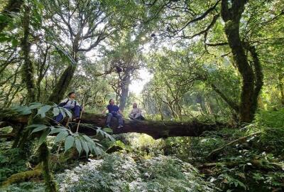 Parc national de Hoàng Liên : Guide complet 2025
