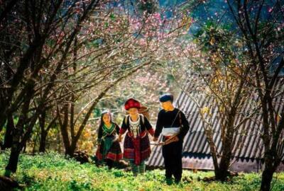 Le village Sin Suoi Ho, destination phare du tourisme communautaire