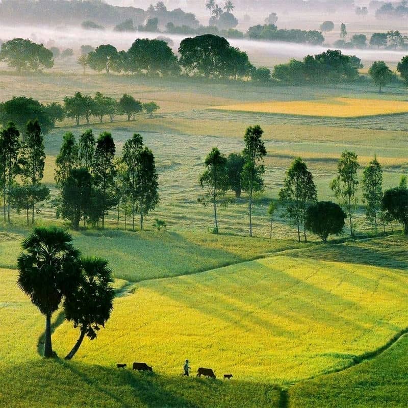 Voyage Delta mekong 3 jours