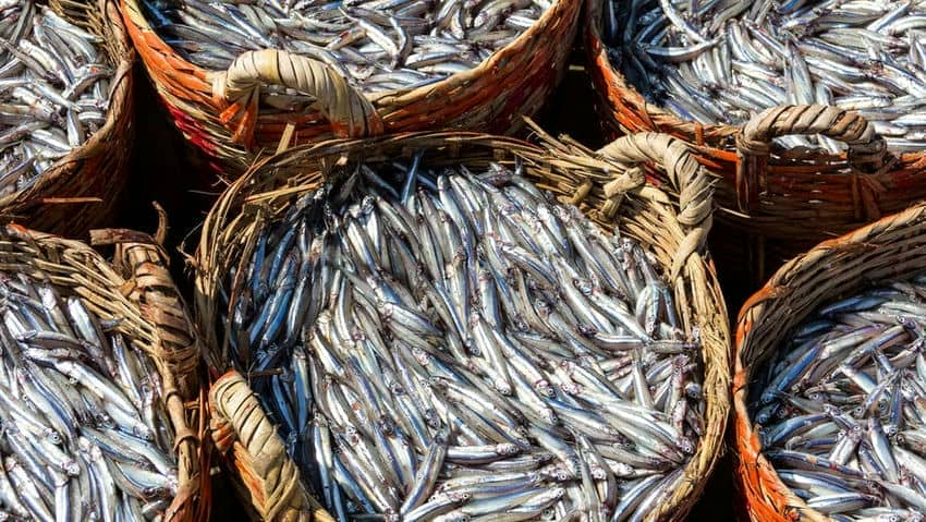 Voyage Phan Thiet Mui Ne