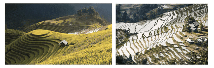 Rizieres Hoang Su Phi