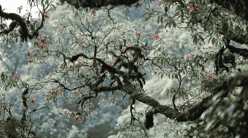 lai-chau-itineraire-5-jours