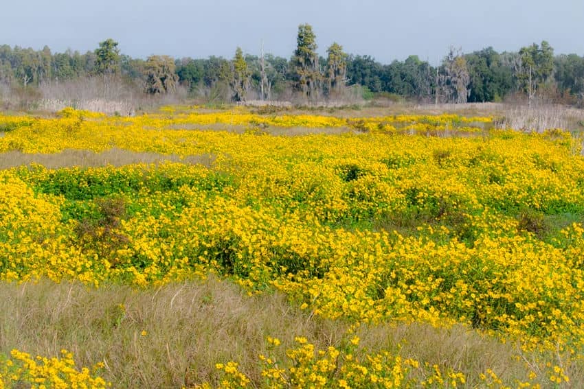 blog-voyage-dong-thap-vietnam