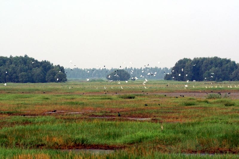 blog-voyage-dong-thap-vietnam