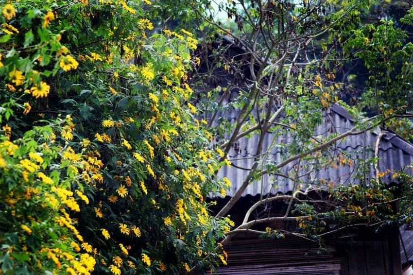 lai-chau-itineraire-5-jours