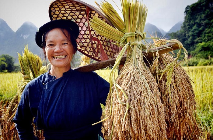 la-vallee-de-phong-nam-un-site-incontournable-pour-votre-visite-a-cao-bang
