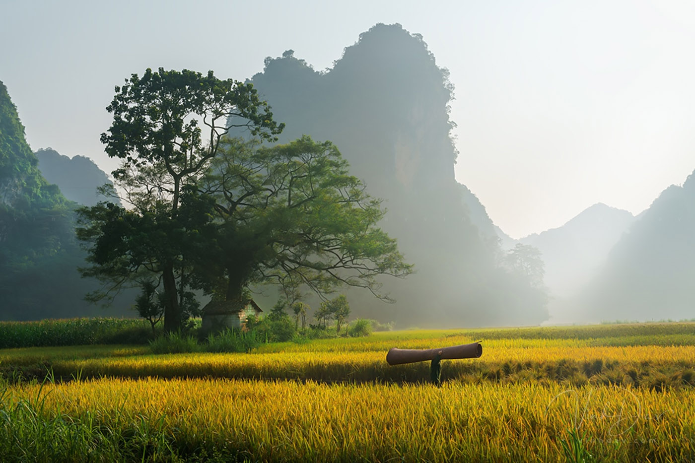 la-vallee-de-phong-nam-un-site-incontournable-pour-votre-visite-a-cao-bang