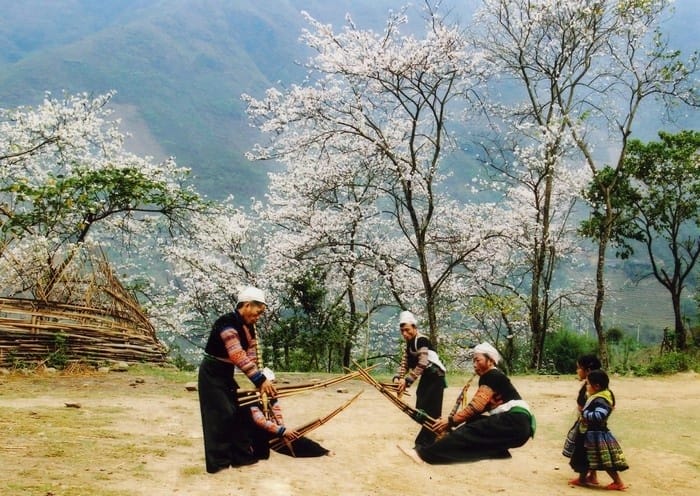 pourquoi-faire-un-voyage-prive-et-sur-mesure-au-vietnam-