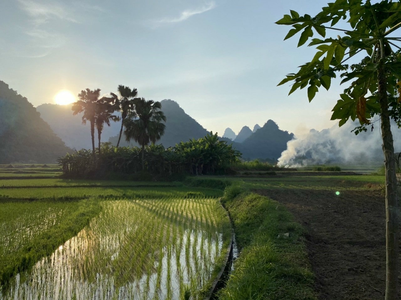 vallee-de-Lam-Thuong-a-Yen-Bai