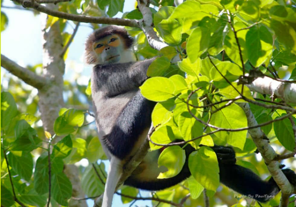 top-15-meilleures-destinations-pour-faire-du-trek-au-vietnam