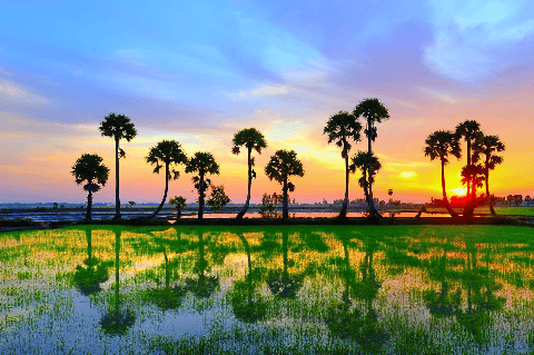 pourquoi-faire-un-voyage-prive-et-sur-mesure-au-vietnam-