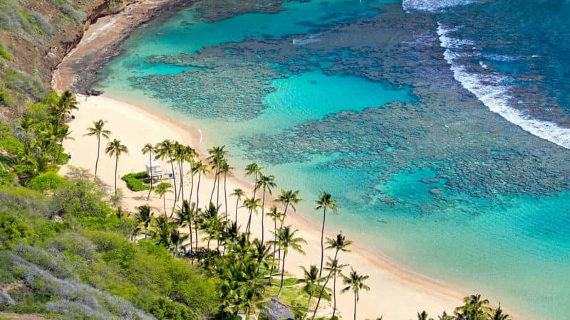  cu-lao-cham-tout-ce-quil-vous-faut-savoir