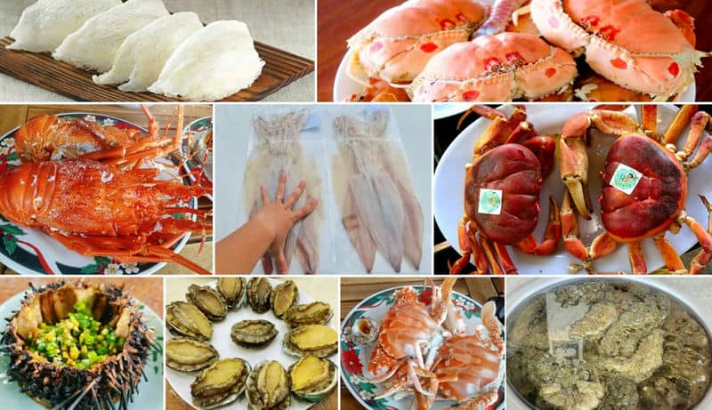  cu-lao-cham-tout-ce-quil-vous-faut-savoir