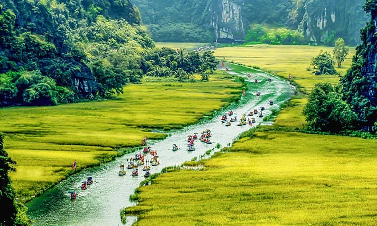 tam-coc-ninh-binh