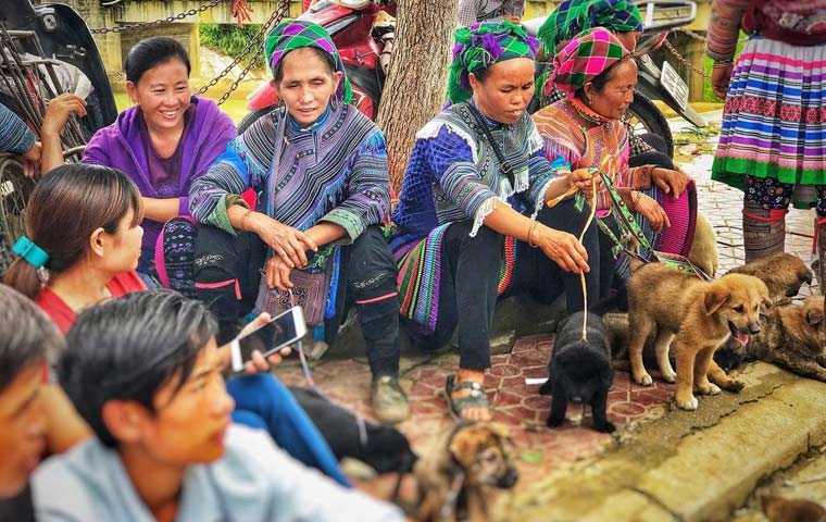 marche-de-Bac-Ha