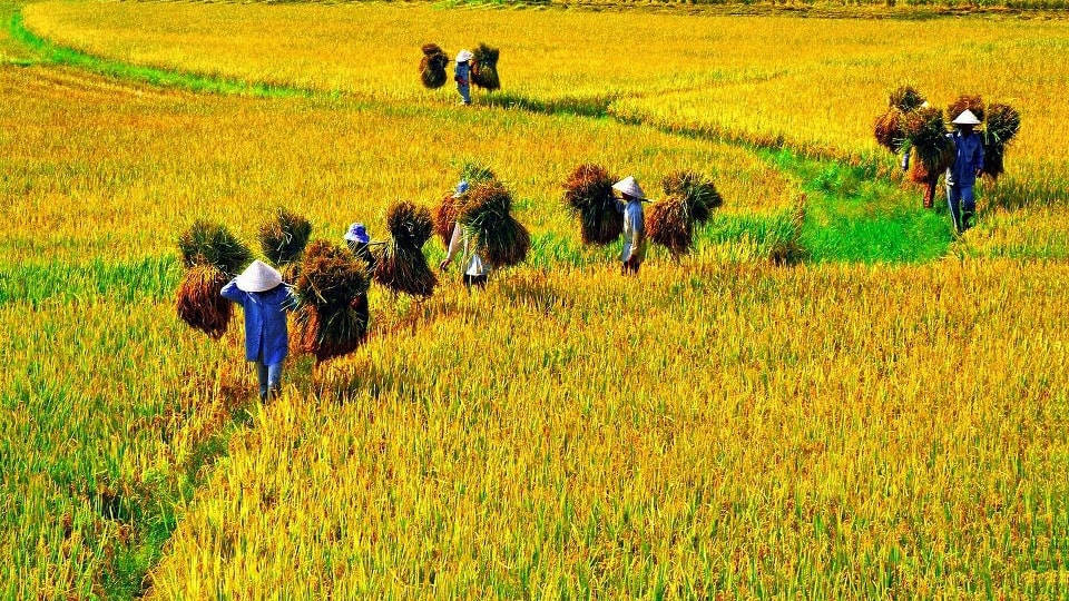 les-charmes-meconnus-de-la-province-de-nam-dinh