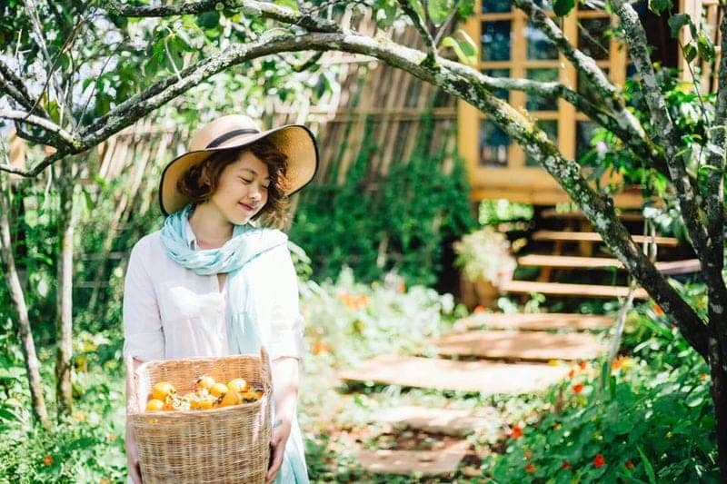 top-des-5-logements-chez-lhabitant-a-dalat