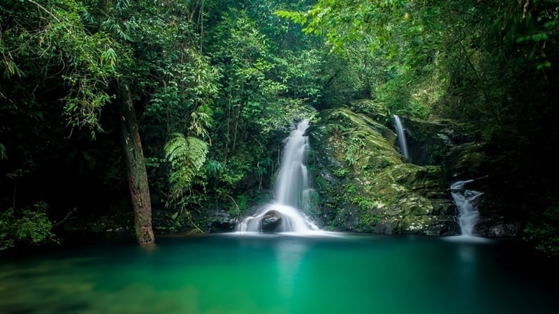 experience-pour-decouvrir-le-parc-national-de-bach-ma