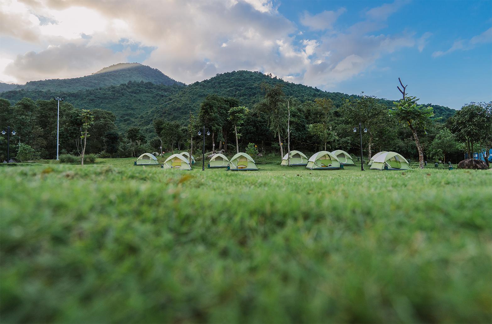 experience-pour-decouvrir-le-parc-national-de-bach-ma