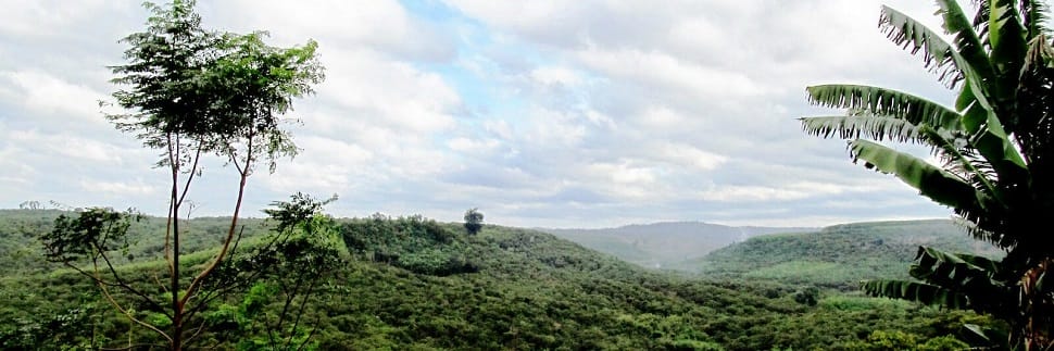 Parc National de Phuoc Binh parc_phuoc-binh