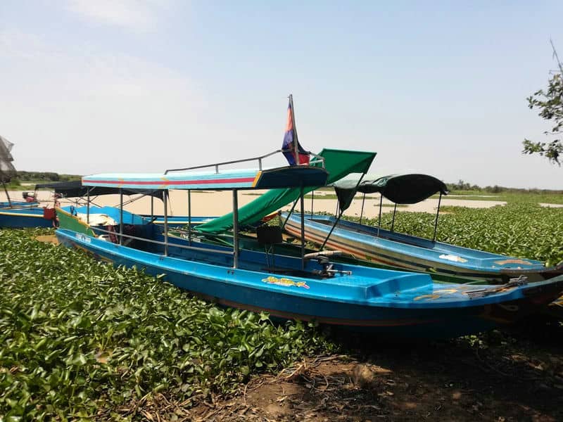 le-cambodge-au-naturel-pearaing-la-biodiversite-a-vol-doiseau