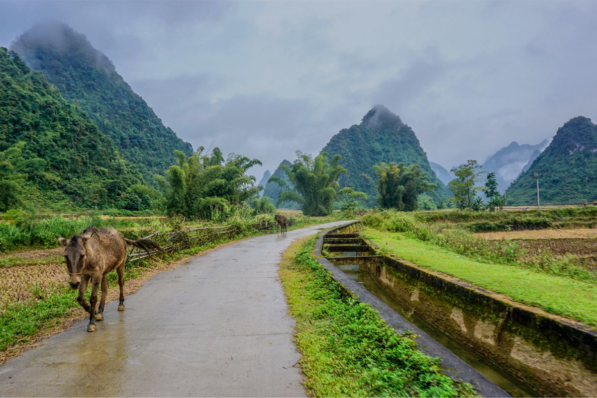 la-vallee-de-phong-nam-un-site-incontournable-pour-votre-visite-a-cao-bang