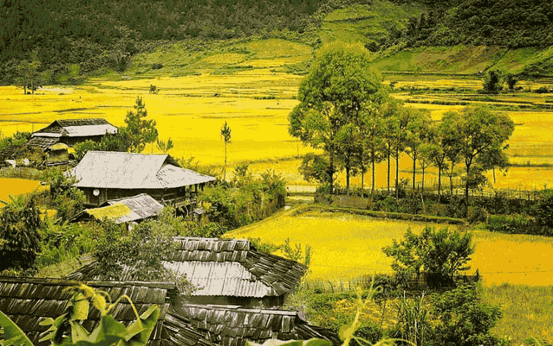 top-15-meilleures-destinations-pour-faire-du-trek-au-vietnam