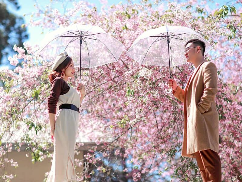 top-10-destinations-en-asie-pour-la-plus-belle-demande-en-mariage