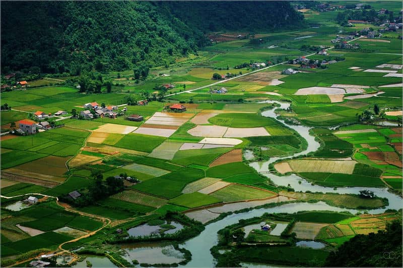 les-meilleures-choses-a-faire-dans-le-nord-est-du-vietnam