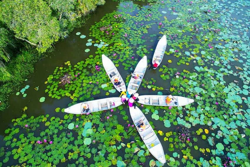 village-flottant-de-tan-lap-une-echappee-verte-aux-portes-de-saigon