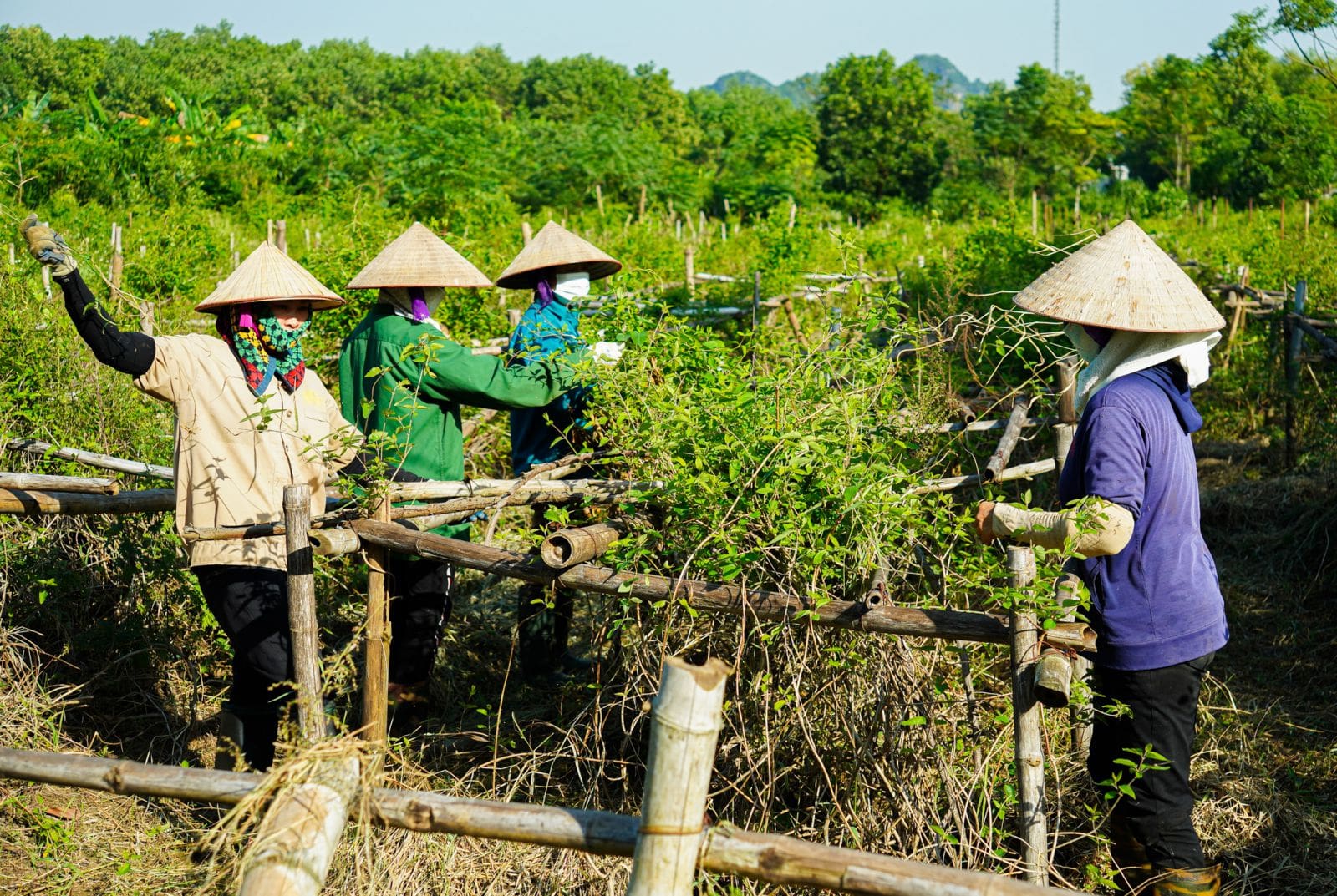 top-10-des-villages-artisanaux-traditionnels-de-ninh-binh