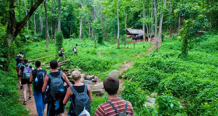 top-15-meilleures-destinations-pour-faire-du-trek-au-vietnam