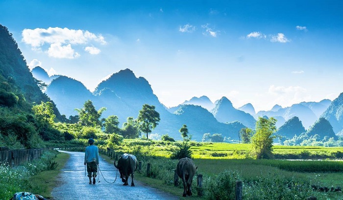 la-vallee-de-phong-nam-un-site-incontournable-pour-votre-visite-a-cao-bang