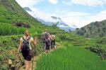 Guide complet pour voyager au Vietnam en petit groupe 2026