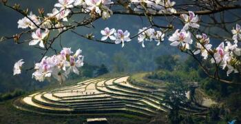 Excursion Dien Bien - Tua Chua 2 jours 1 nuit