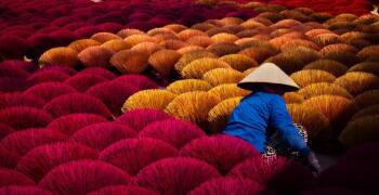Le village de l'encens Quang Phu Cau