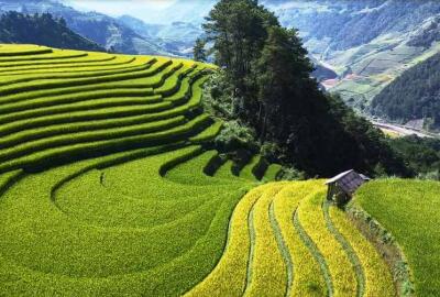 Que faire à Pu Luong en 2 ou 3 jours : Le guide ultime pour la découverte de cet écrin de la nature