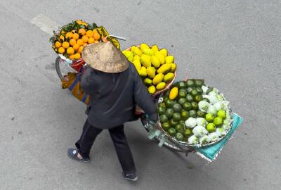 Que faire pour un circuit au Nord Vietnam 7 Jours ? Le guide ultime pour la découverte des trésors du Tonkin