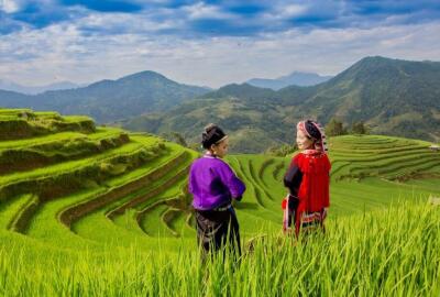 Que faire au Nord du Vietnam en mars ?