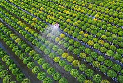 Explorer Sa Dec, Vietnam : Top 5 destinations incontournables