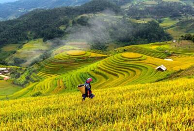 Voyage Vietnam pas cher 2 semaines : itinéraire complet et budget détaillé