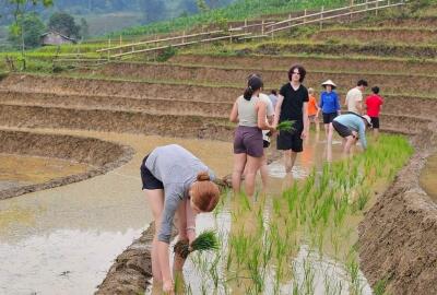 Voyage scolaire au Vietnam : Idées de circuits éducatifs pour étudiants