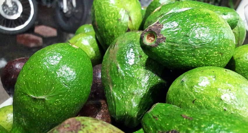 avocat vietnam