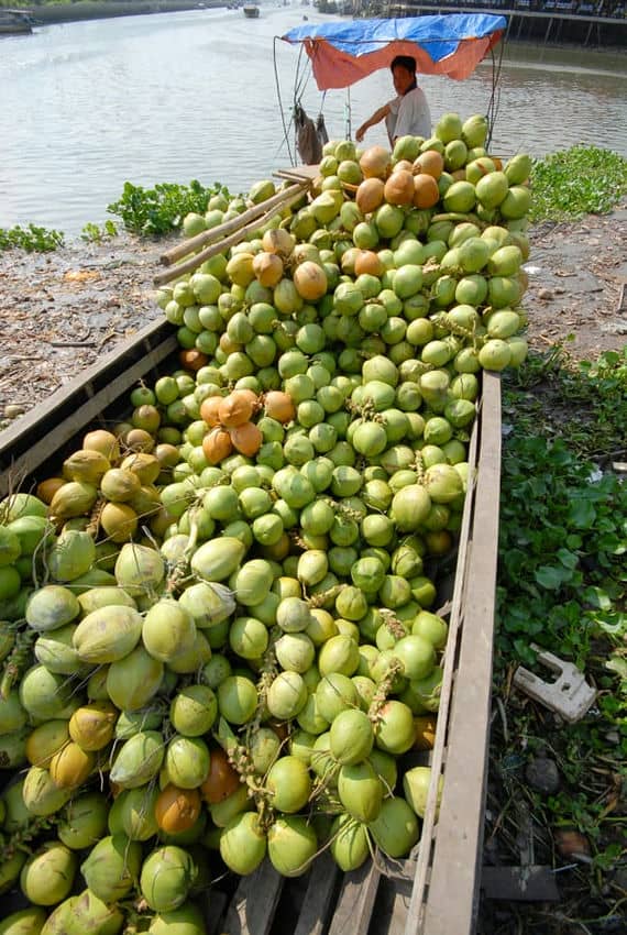 Bateau de coco Vietnam
