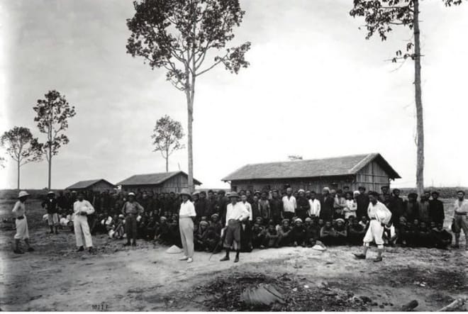 plantation caoutchouc au vietnam