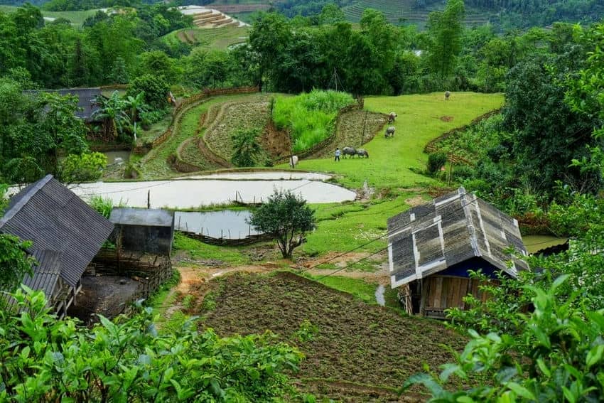 Voyage-à-Hoang-Su-Phi