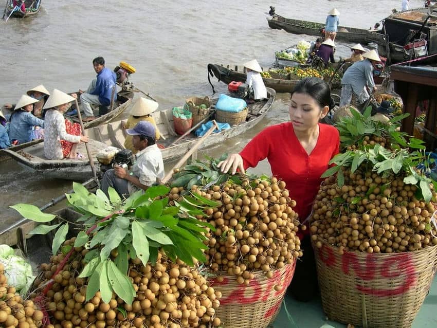Jardins fruitiers delta au mekong