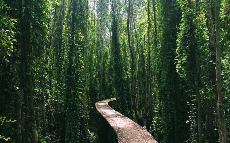 village-flottant-Tan-Lap-delta-mekong