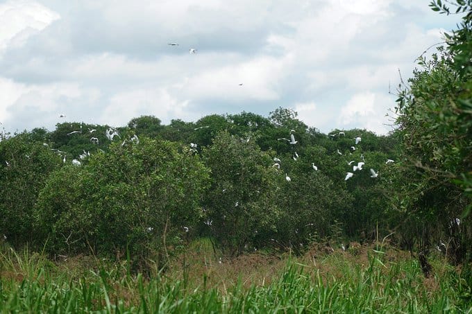 parc-des-oiseaux-vietnam-sud