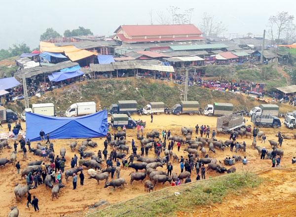 sapa-faire-le-trek-premier-voyage-au-vietnam